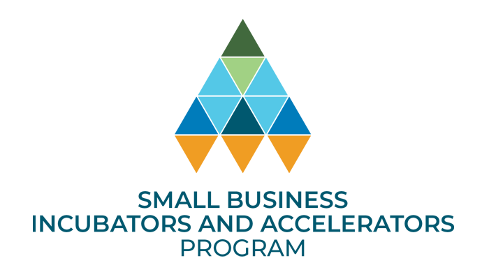 Small Business Incubators and Accelerators Program
