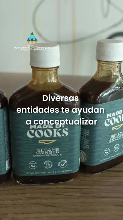 El Programa de Incubadoras y Aceleradoras de Pequeñas Empresas de los #Fond...